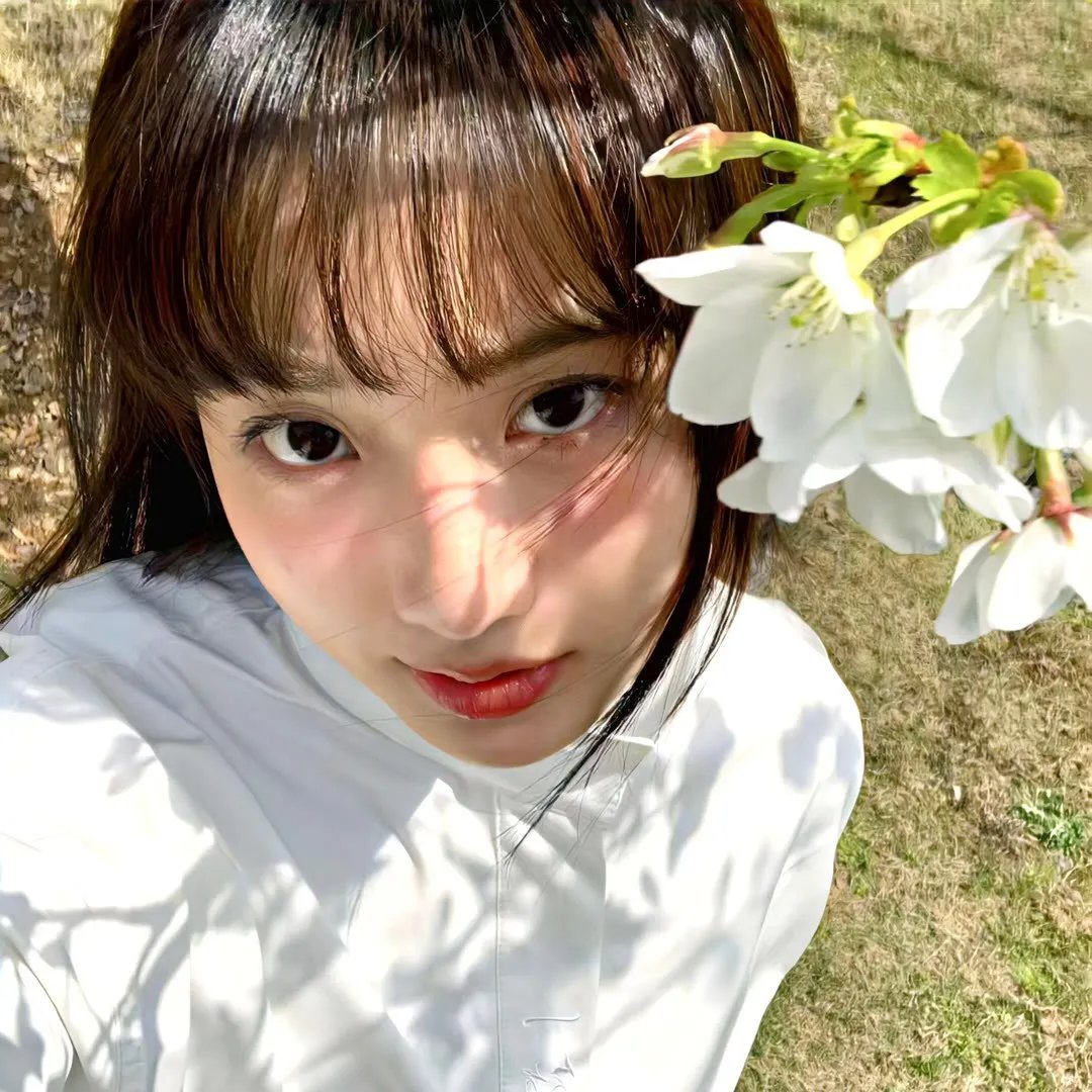 花宵道中