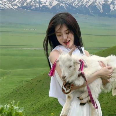 杨梅成熟的季节